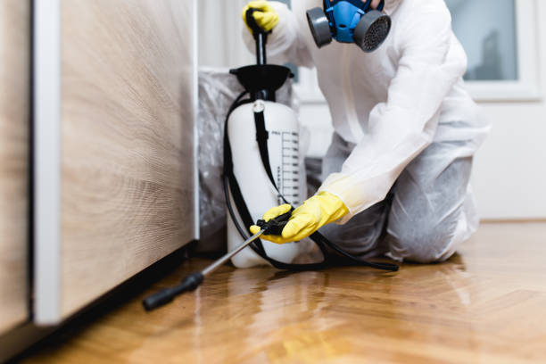 Reliable Harrington, DE Pest Control Solutions