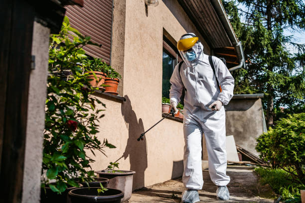 Best Best Pest Control Companies  in Harrington, DE